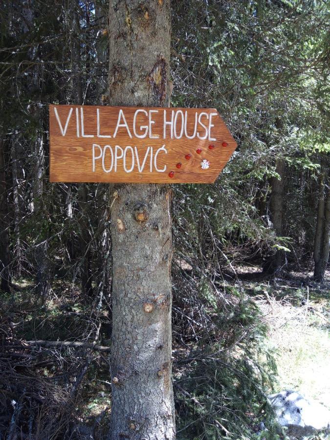 Village House Popovic Žabljak Exteriör bild