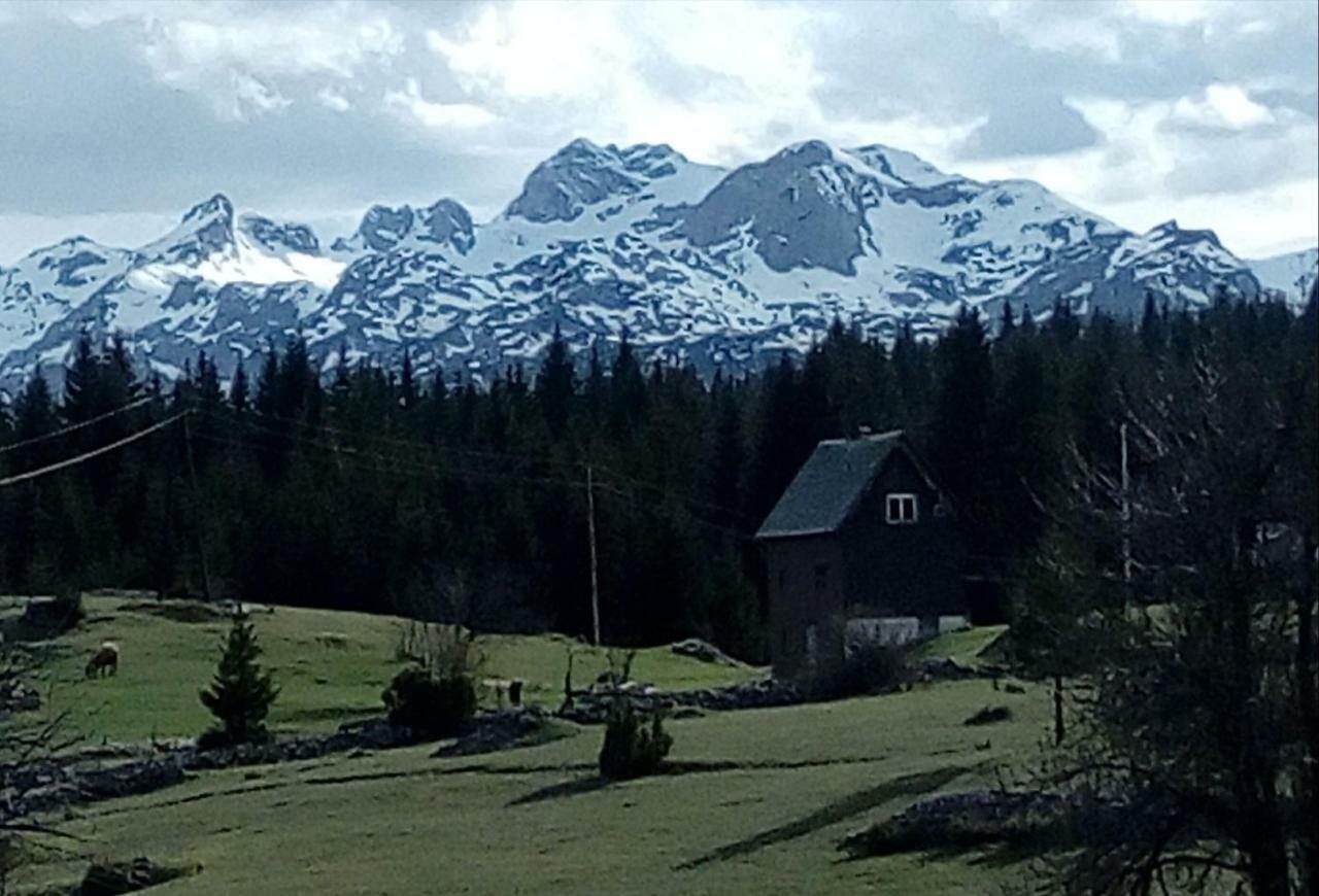 Village House Popovic Žabljak Exteriör bild
